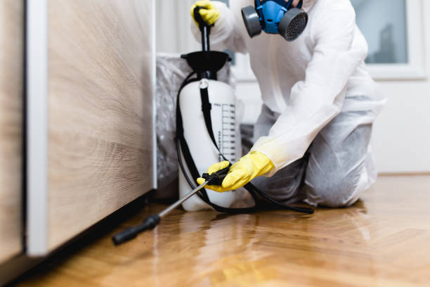 Best Rat Extermination Near Me  in Stockdale, TX