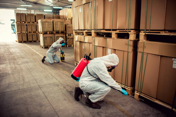 Wasp Removal Services in Stockdale, TX