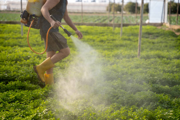 Best Exterminator Services  in Stockdale, TX